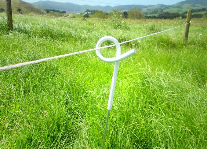 Pigtail Standards - Buy more & save