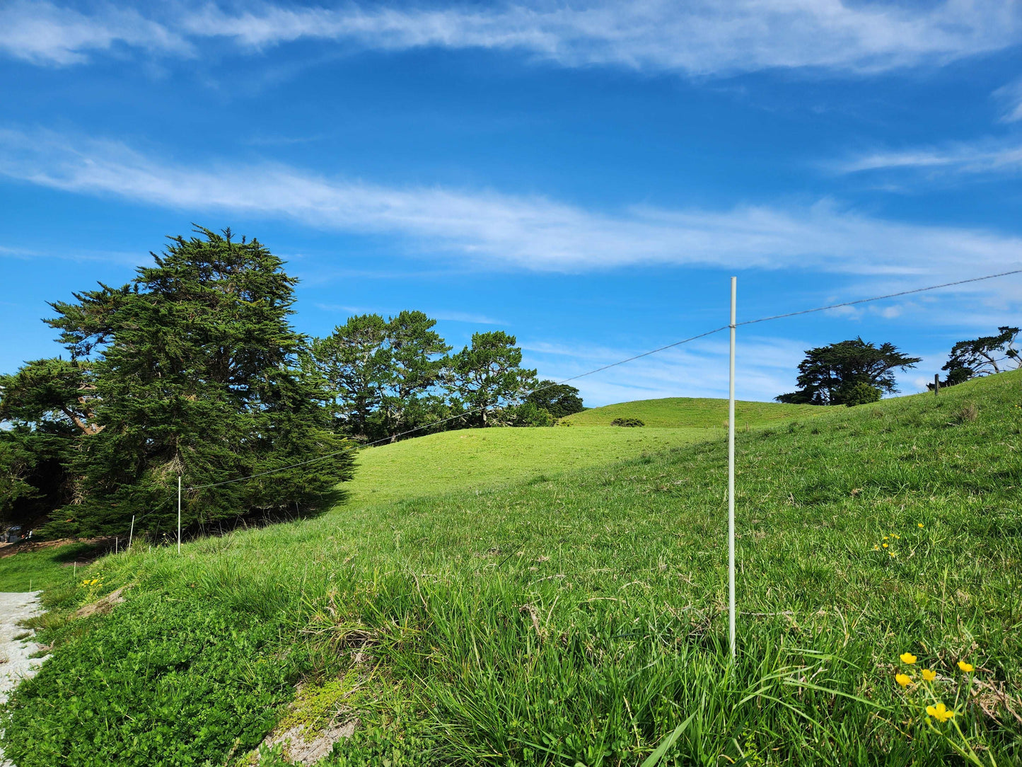 Fibreglass Rod - Buy 500 and Save!