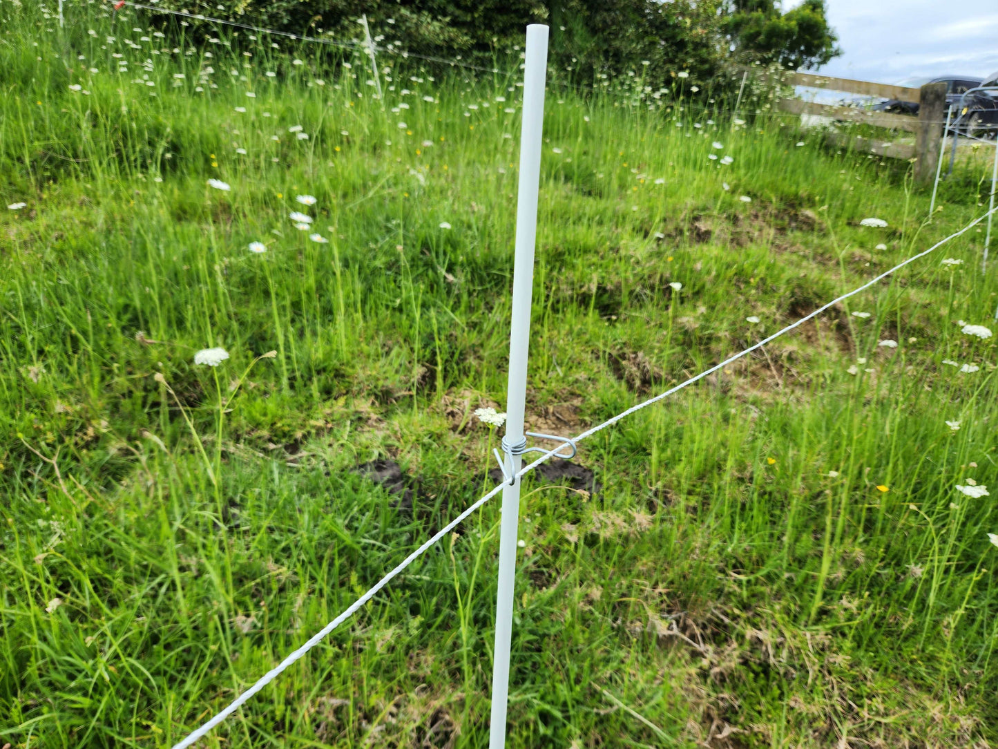 Fibreglass Rod NZ Spring Clip - Standard