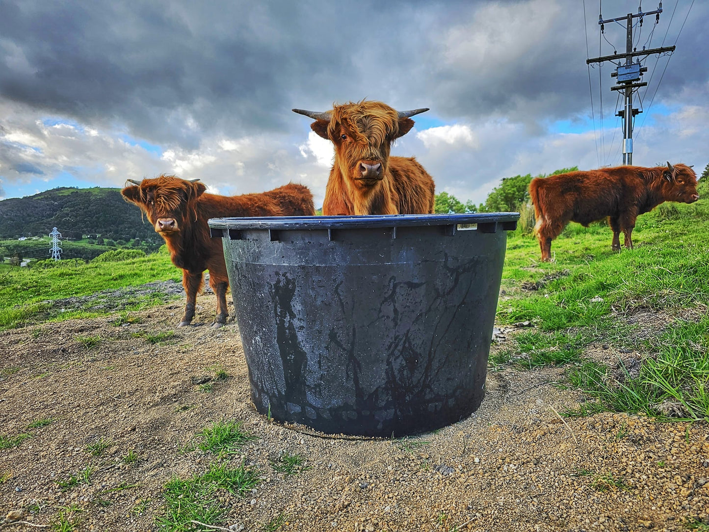 285L Water Trough/Plastic Tub