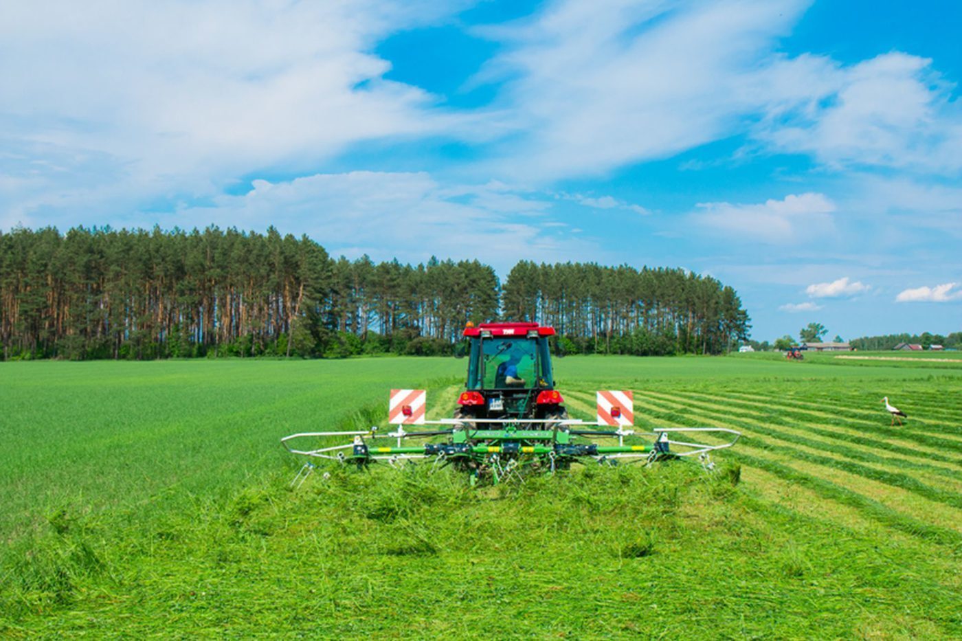 SaMASZ 6.5m Rotary Tedder