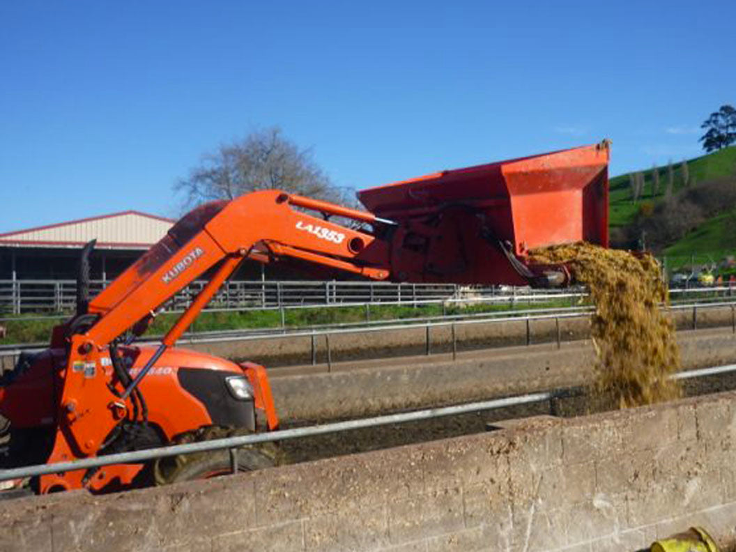 Fast Feeder Bucket