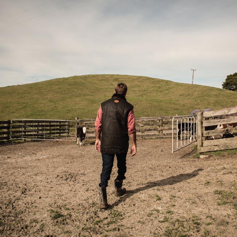Farm Gate - 9ft 2.75m