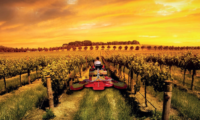 Healthy News for Organic Winemakers