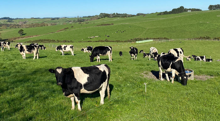 Cell Farming: Rotational Grazing for Modern Farms